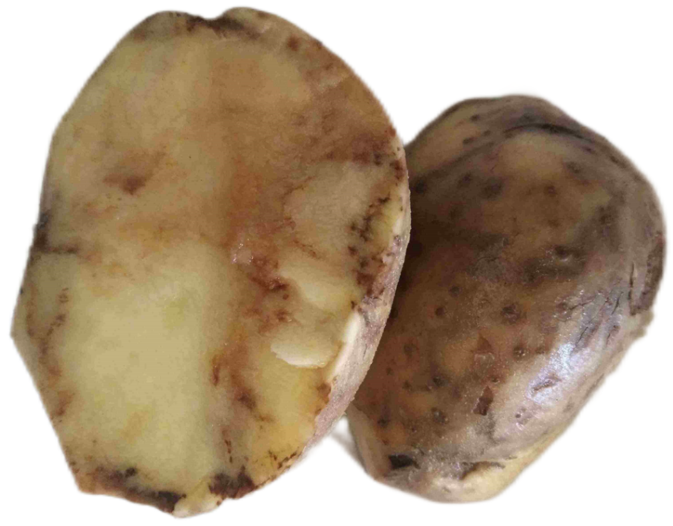 A(1)(1).png