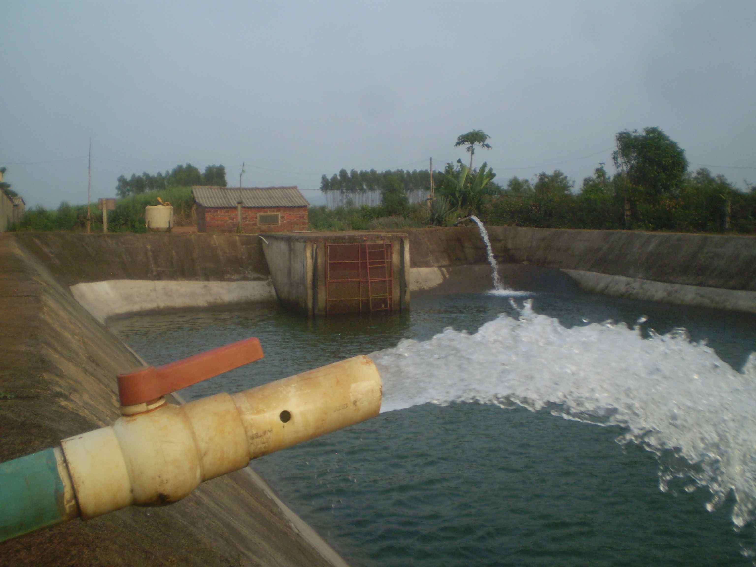 PB100027(1).jpg