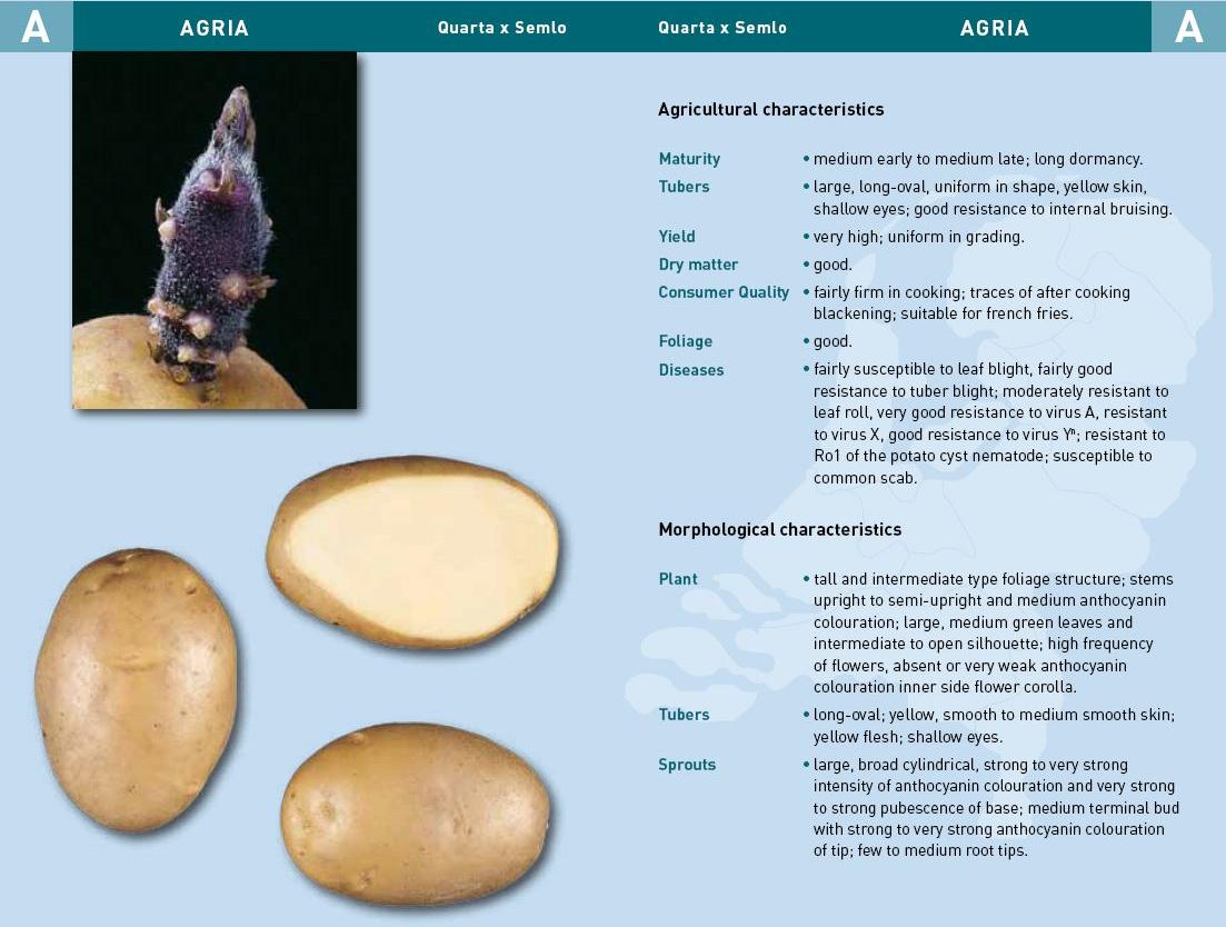 Agria.jpg