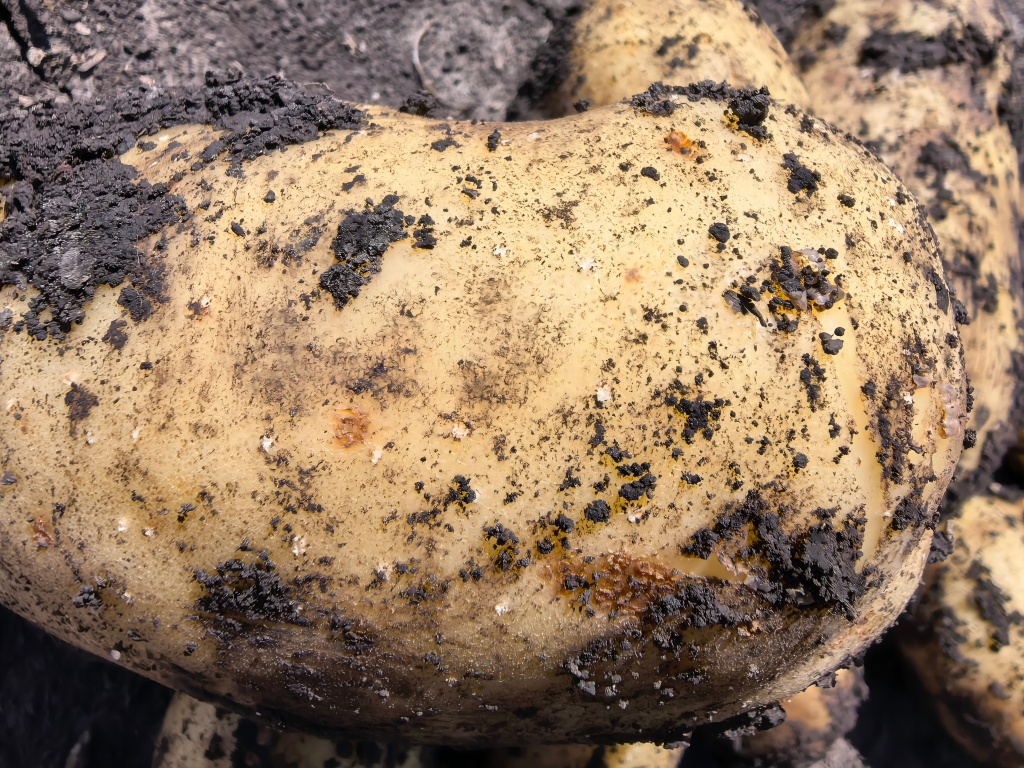 1756273002209394.jpg 1.jpg