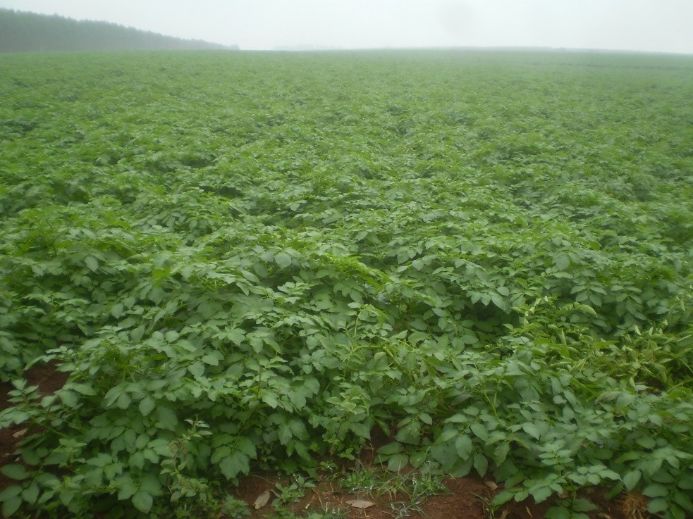 1756273401389414.jpg 2.jpg