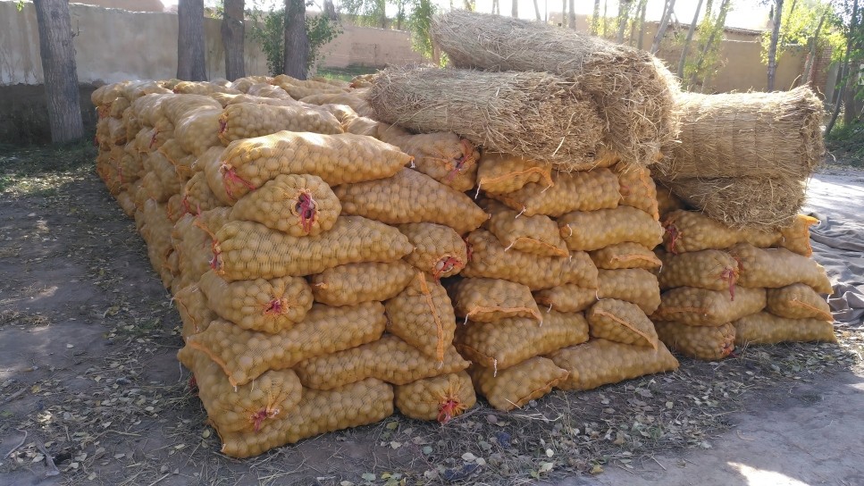 1756456150994092.jpg 1.jpg