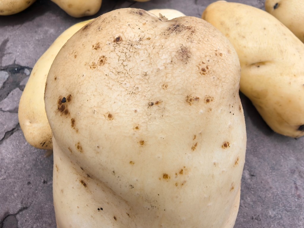 1757431795783521.jpg 4.jpg