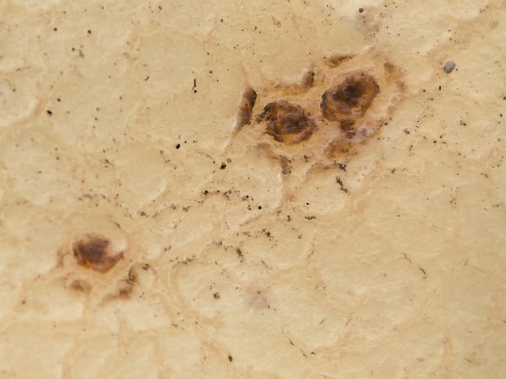 1757431826261331.jpg 2.jpg