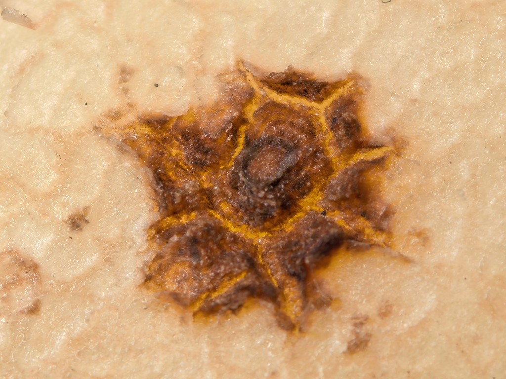 1757579095786913.jpg AAA.jpg