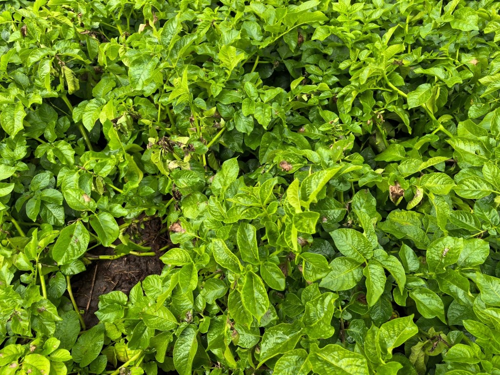 1757599635188967.jpg 321.jpg