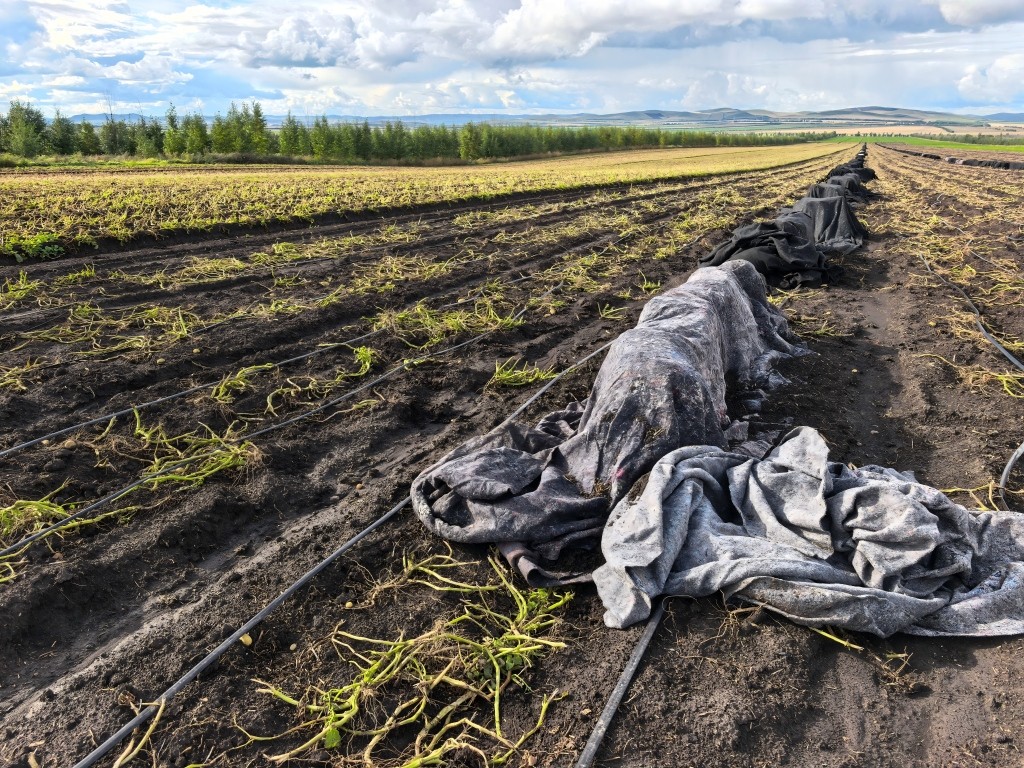 1757738534583893.jpg 2(1).jpg