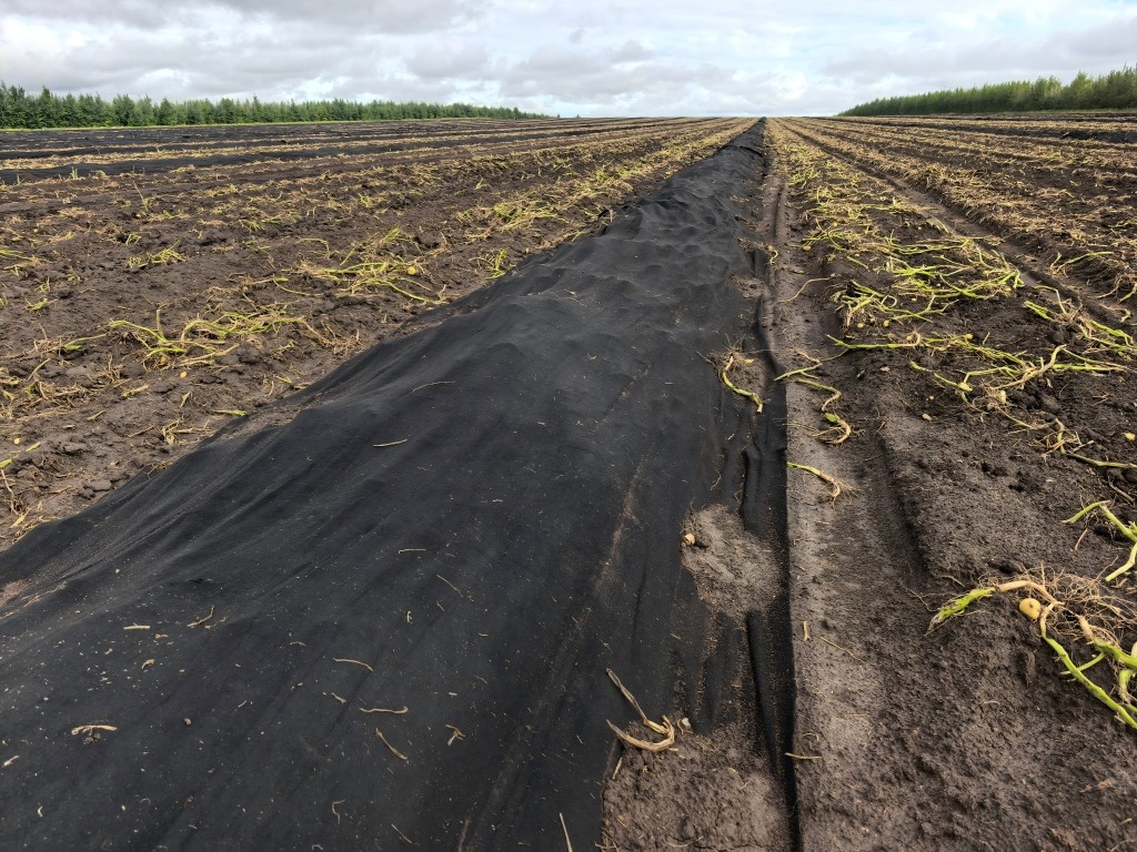 1757738545264422.jpg 3(1).jpg