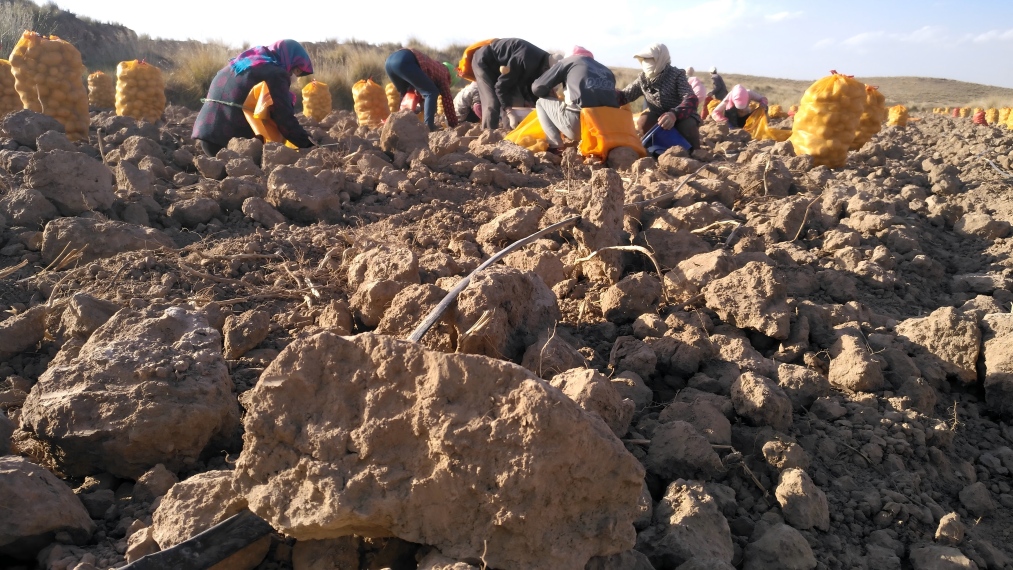 1758760385126677.jpg IMG_20181004_170216(1).jpg