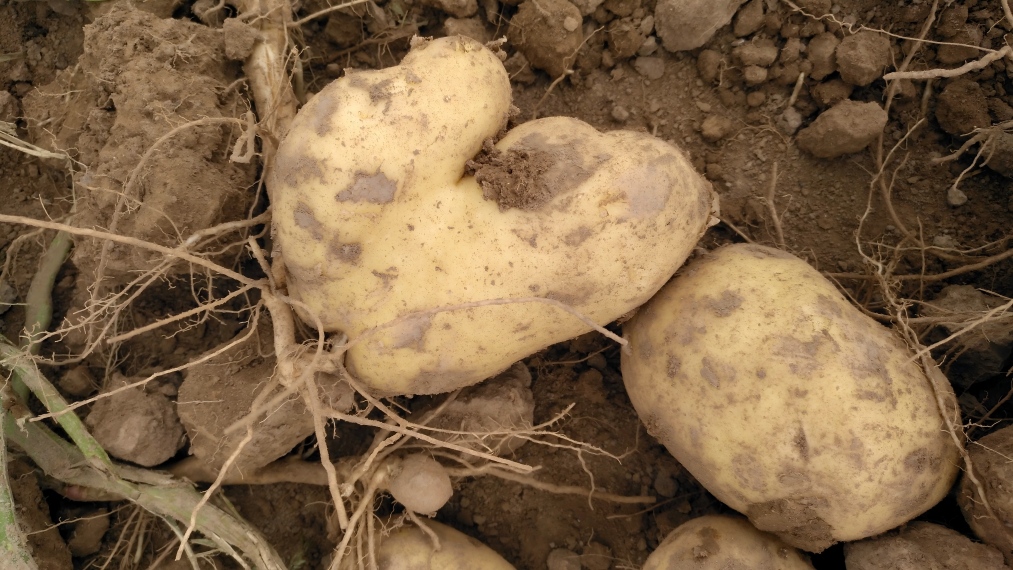 1758761206133272.jpg IMG_20180930_144754(1).jpg