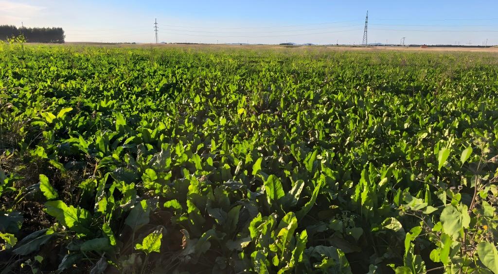 1758874919748903.jpg 11.jpg