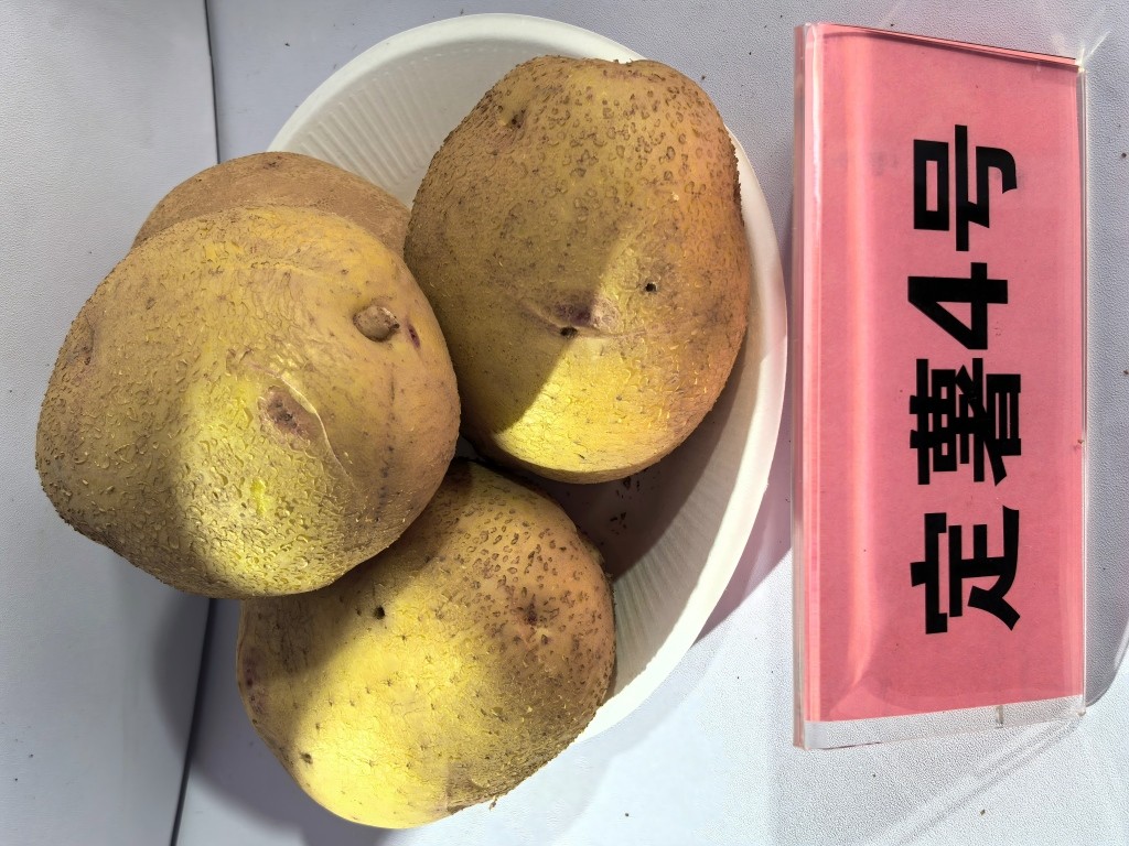 1761644814185810.jpg 4号.jpg