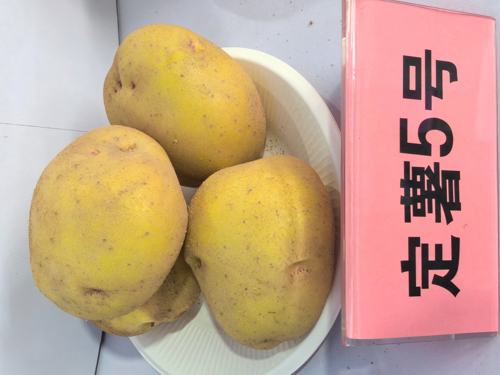 1761645917411063.jpg 5号.jpg