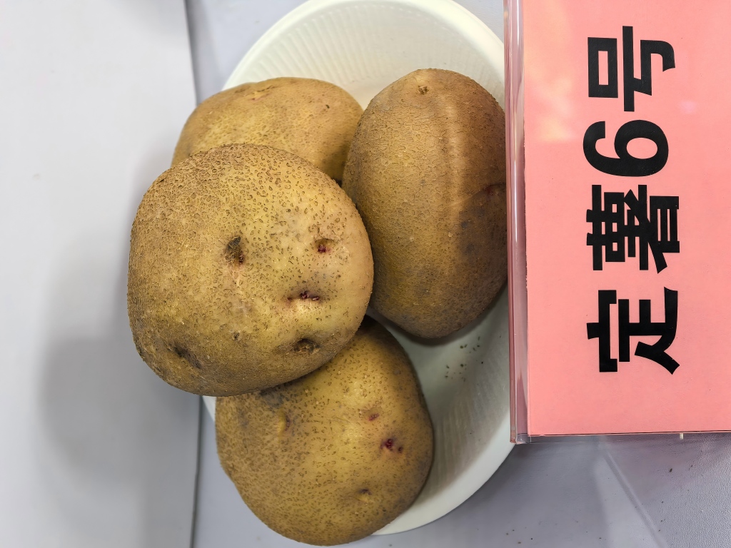 1761646881104899.jpg 6号.jpg