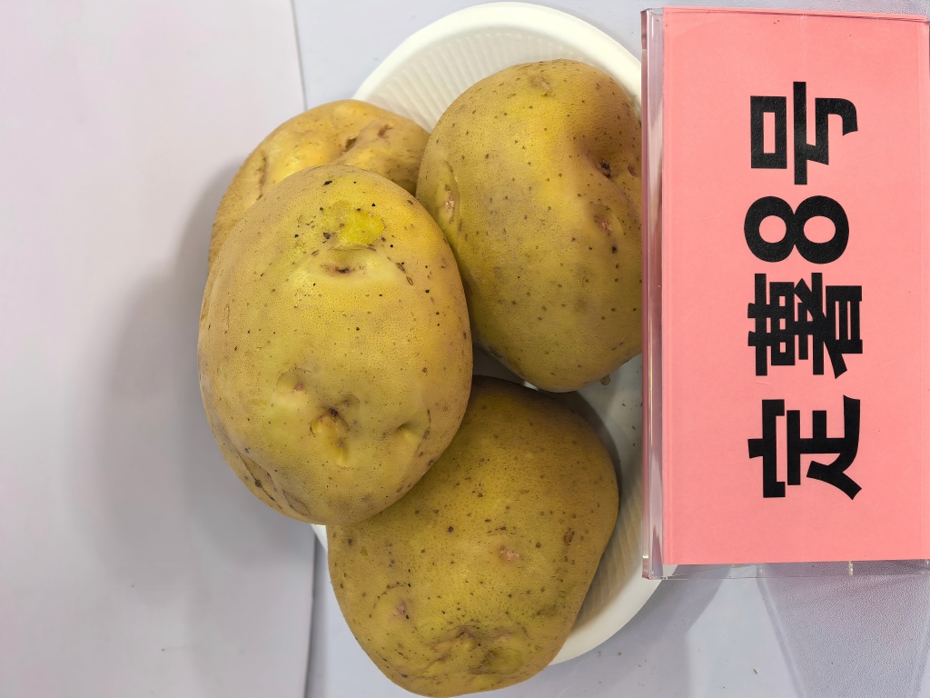 1761648880387205.jpg 8号.jpg