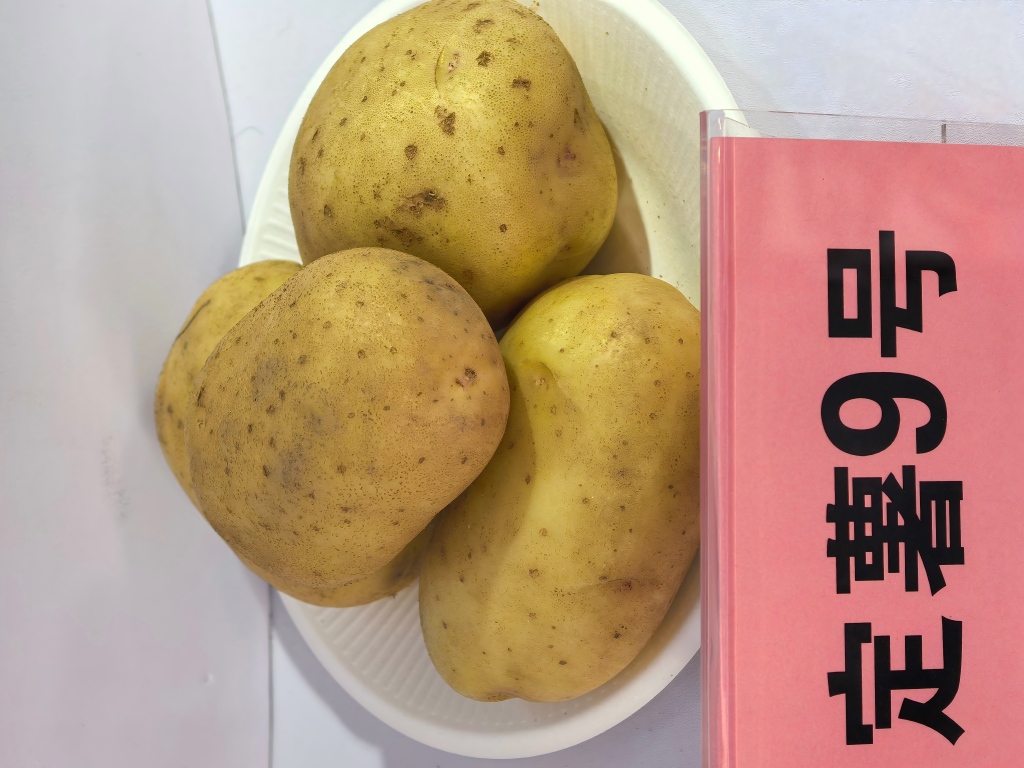 1761650460641924.jpg 9号.jpg