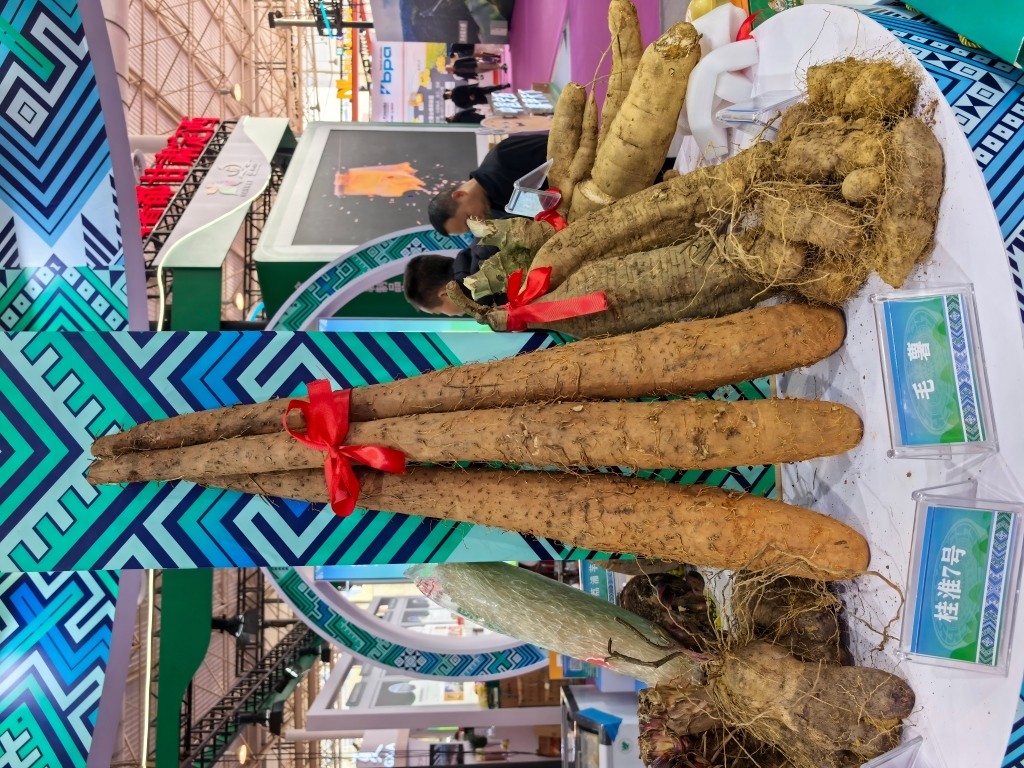 山药 毛薯(1).jpg